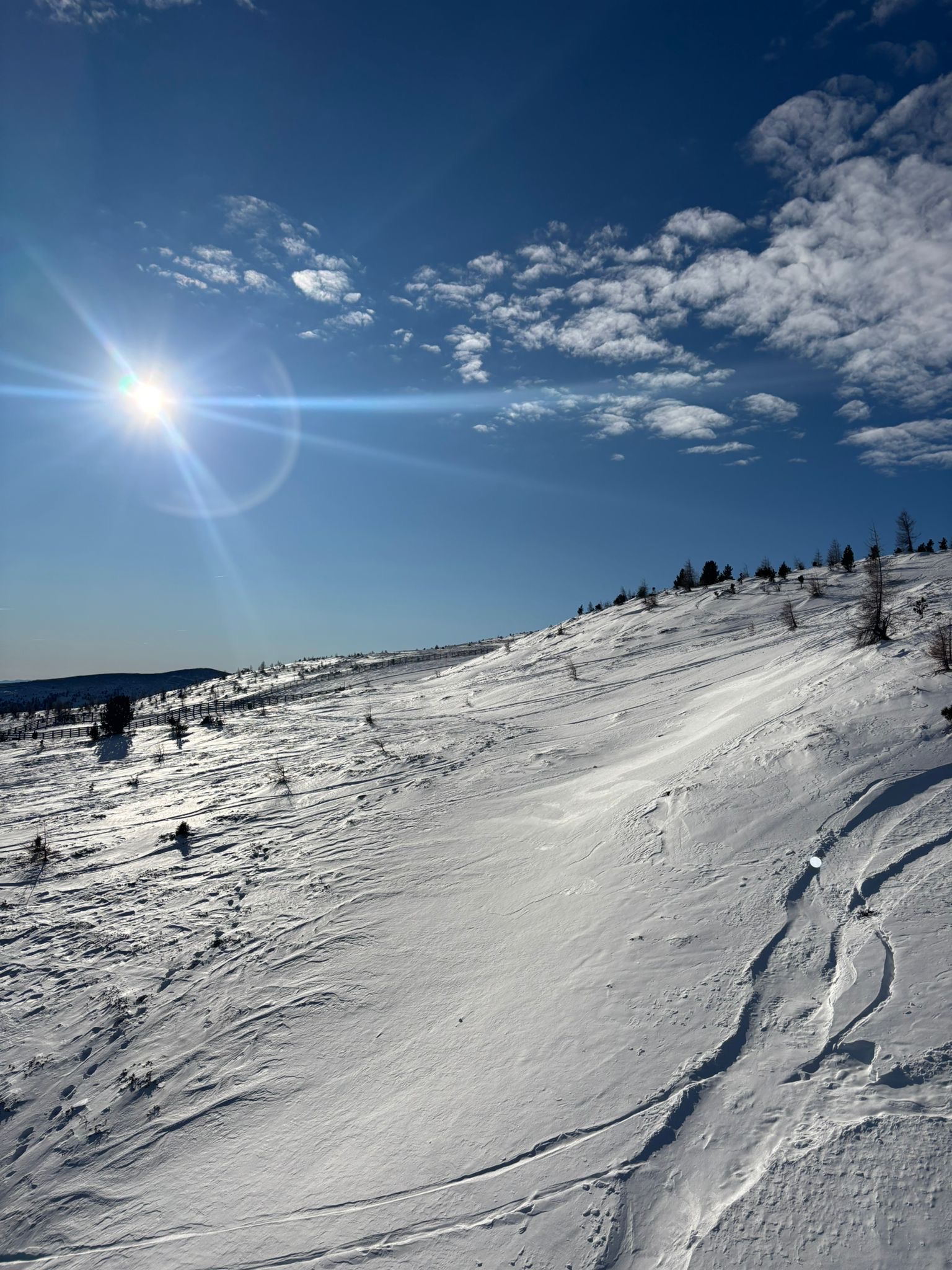 e55ae3be de67 4404 b073 df21b3628c2b